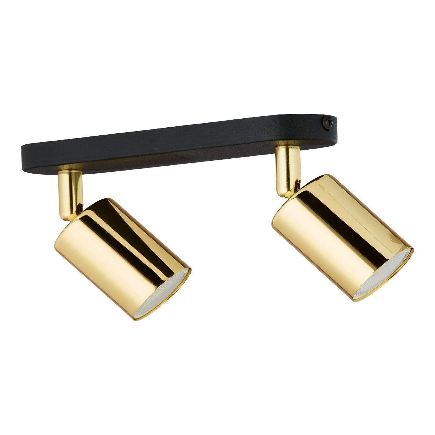 Spotlight, Gold finish, Dual heads, Track lighting, Ceiling mount