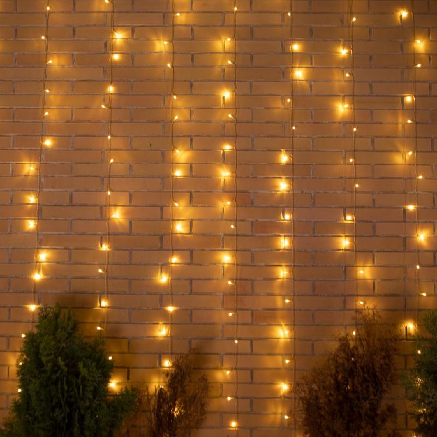 Guirlande lumineuse extérieure LED IP44 6 x 3 m 2700 K Fiche Câble