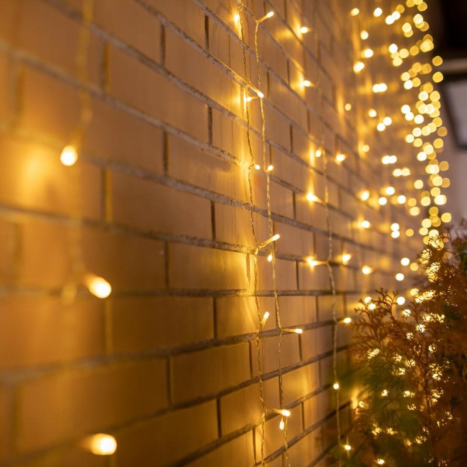 Guirlande lumineuse extérieure LED IP44 6 x 3 m 2700 K Fiche Câble