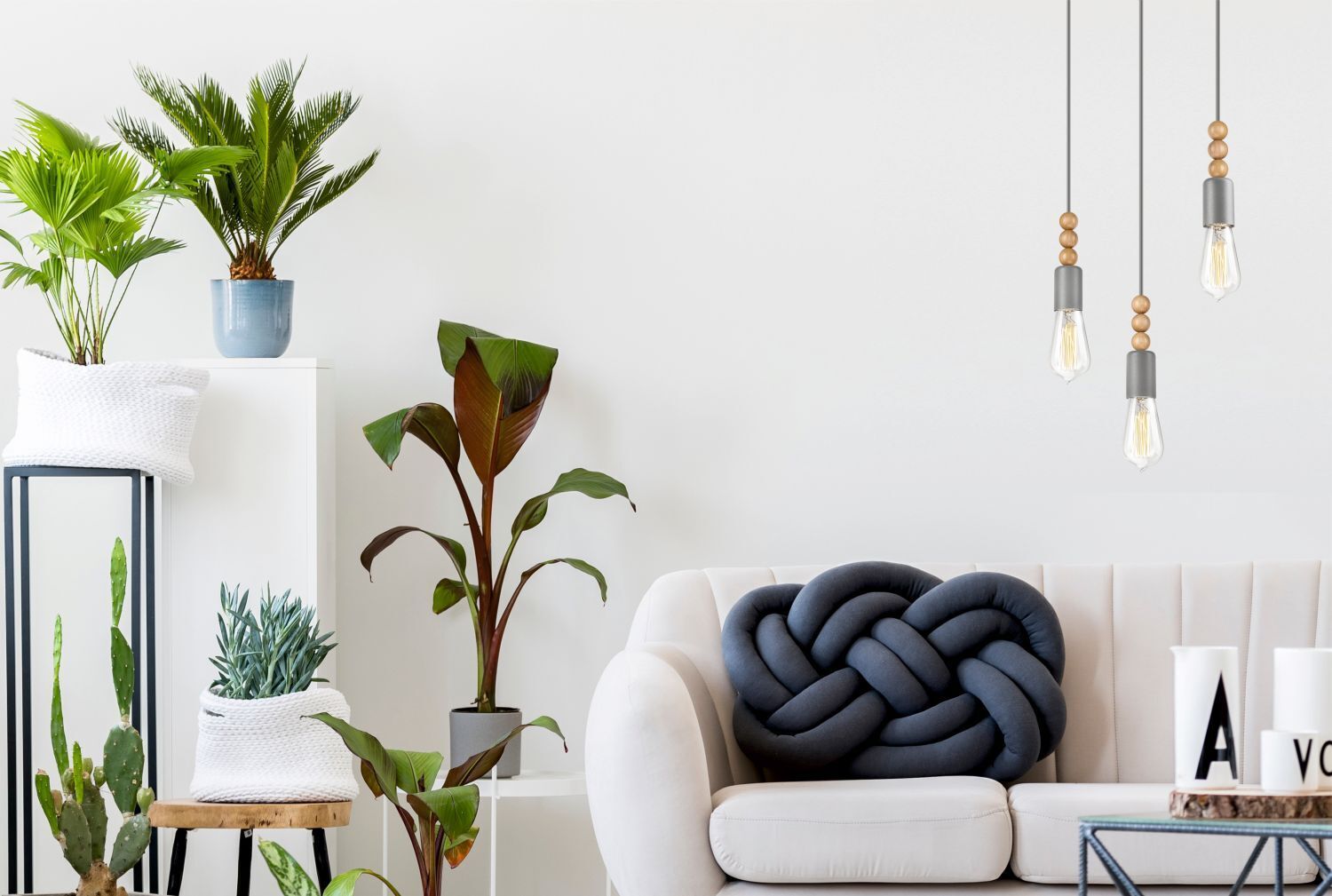 Pflanze, Pflanze im Topf, Drinnen, Innenarchitektur, Wohnzimmer
