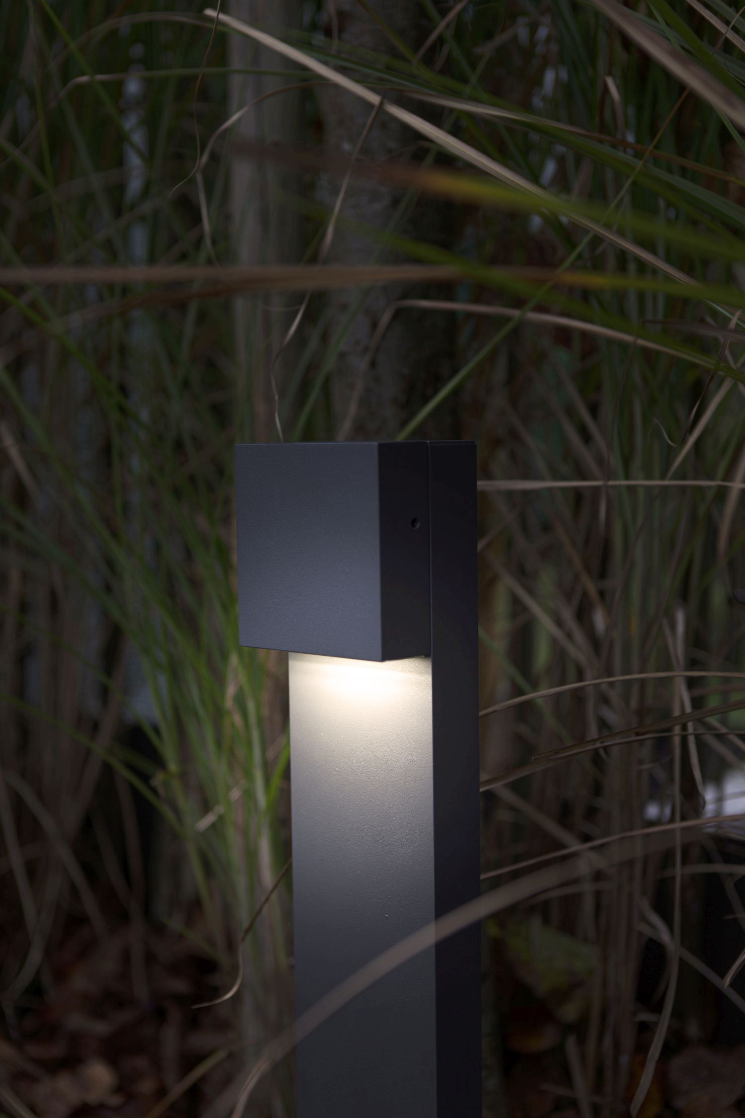 Lampe