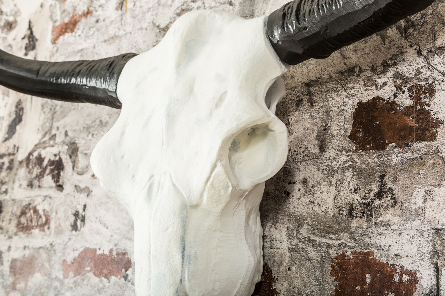 Sculpture murale en aluminium Crâne de buffle 68 cm en blanc noir Vieh, Tier, Stier, Säugetier, Rinder