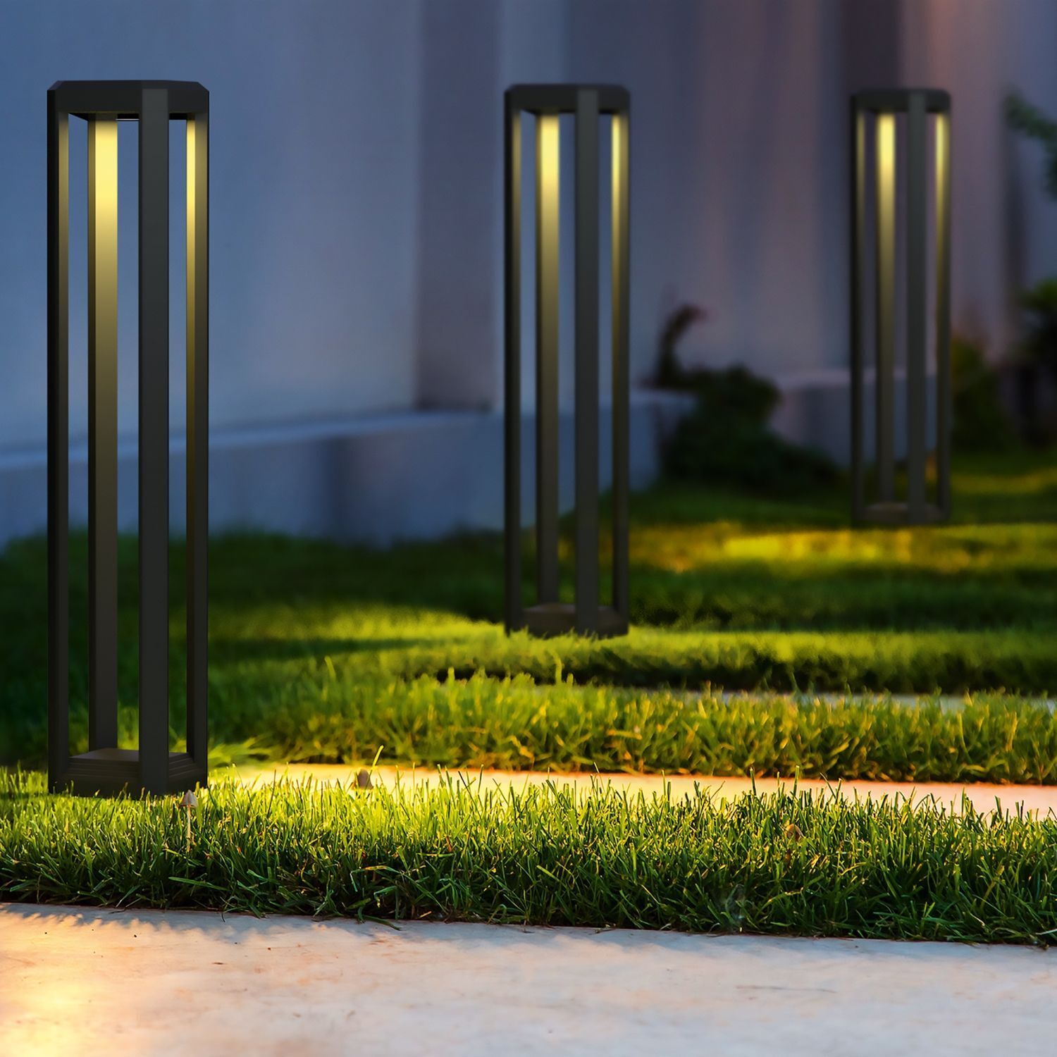 Gras, Pflanze, Rasen