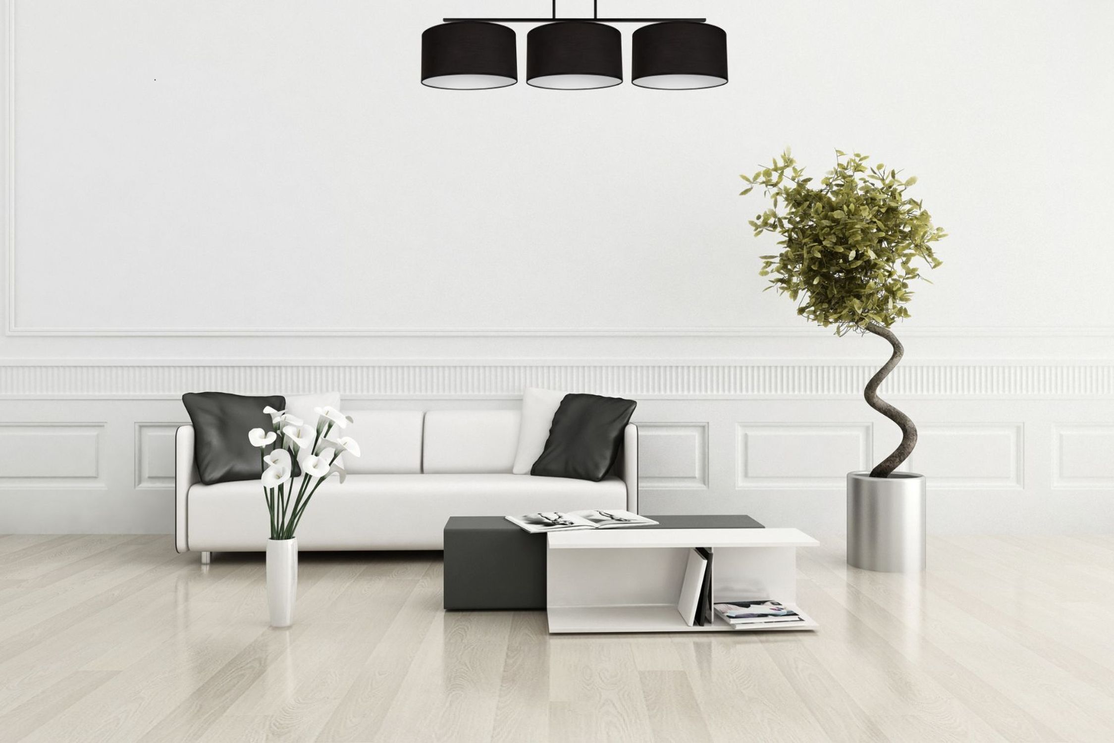 Pflanze, Pflanze im Topf, Wohnzimmer, Tabelle, Innenarchitektur