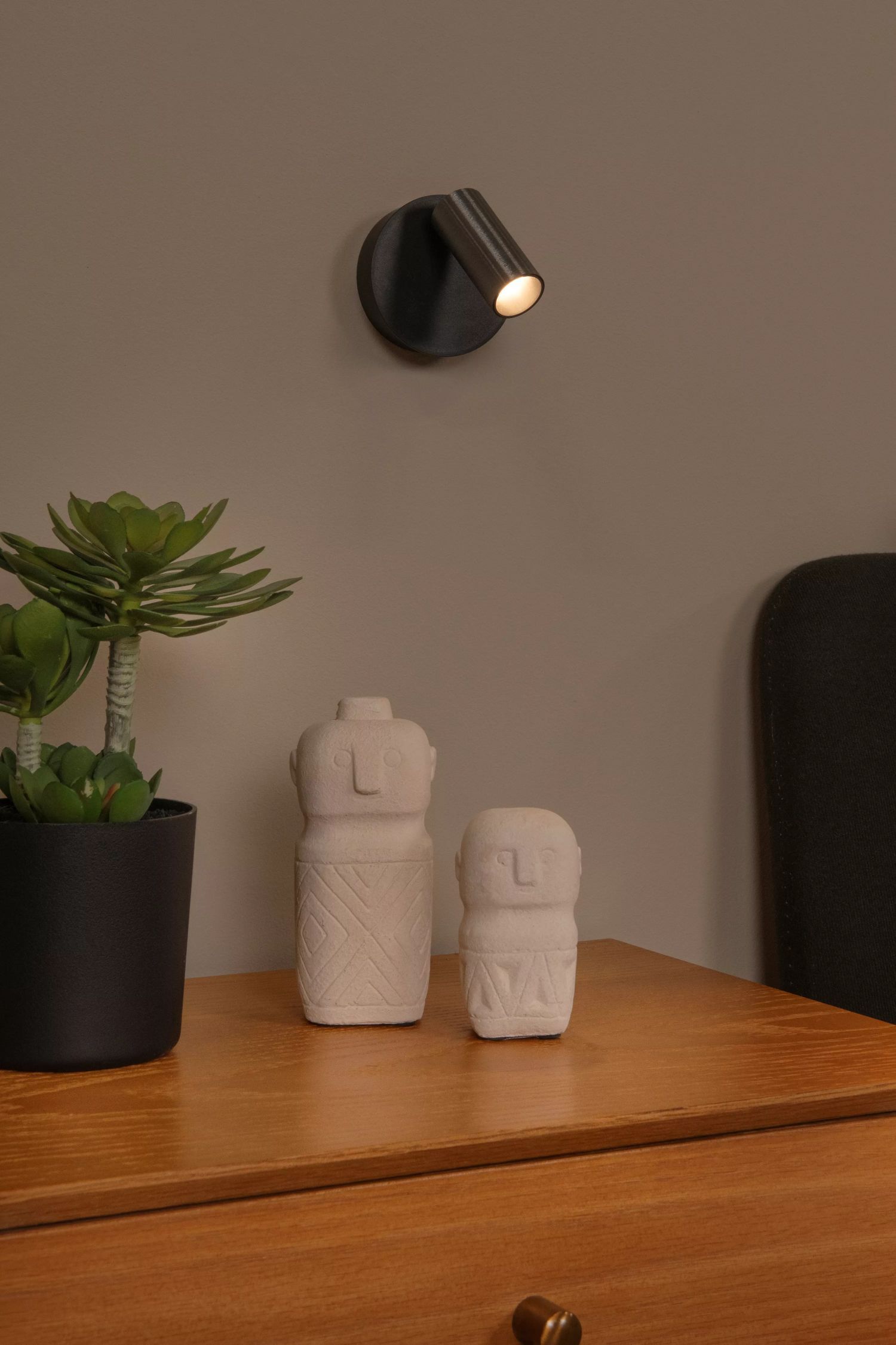 Pflanze, Pflanze im Topf, Lampe