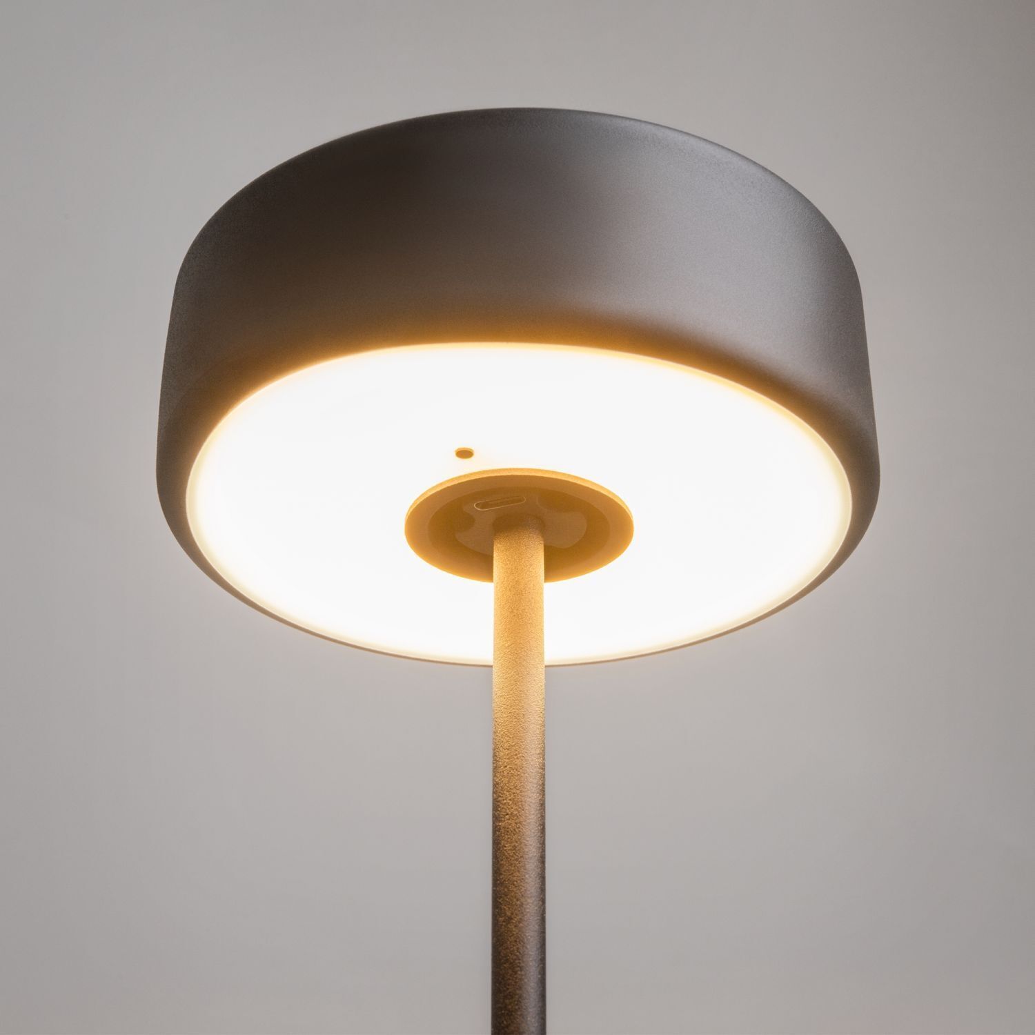 Lampe, Lampenschirm