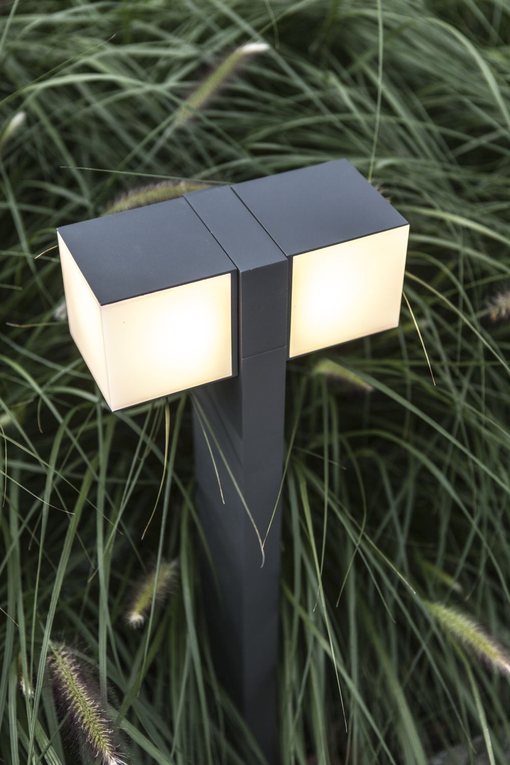 Lampe