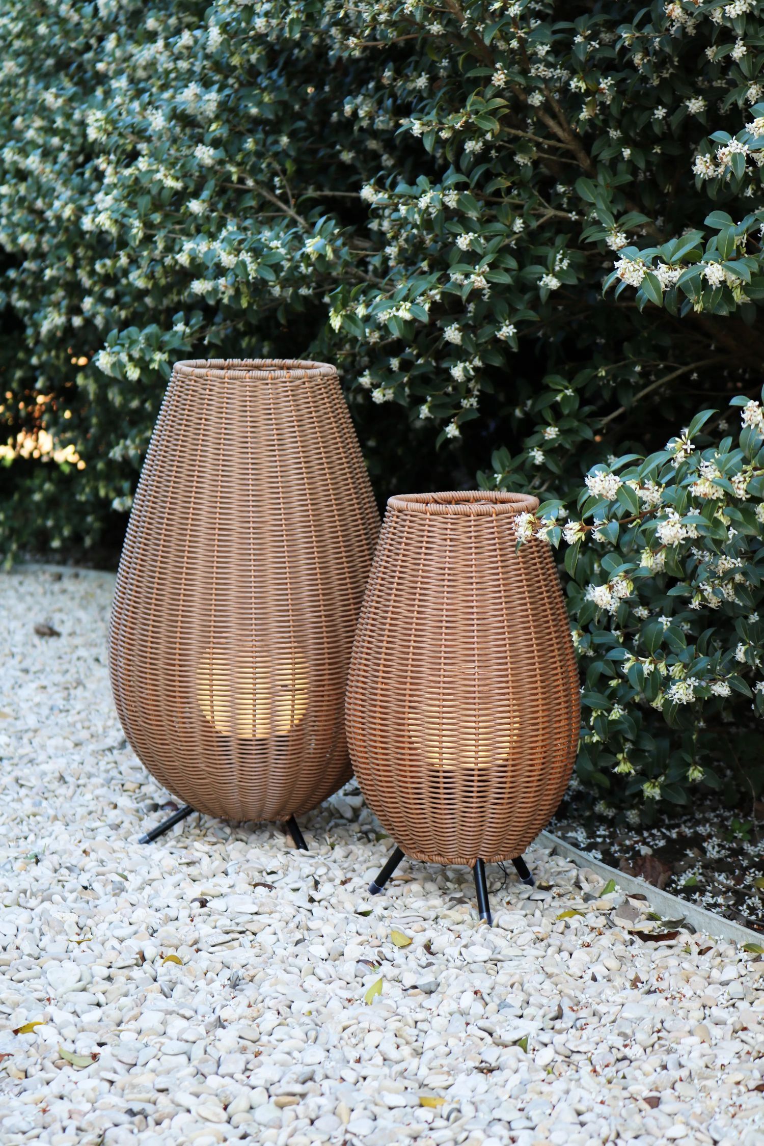 Drinnen, Innenarchitektur, Holz