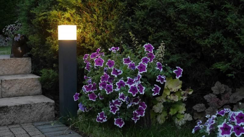 Lampe d'extérieur noire mur IP44 faible éblouissement E27 H:22cm