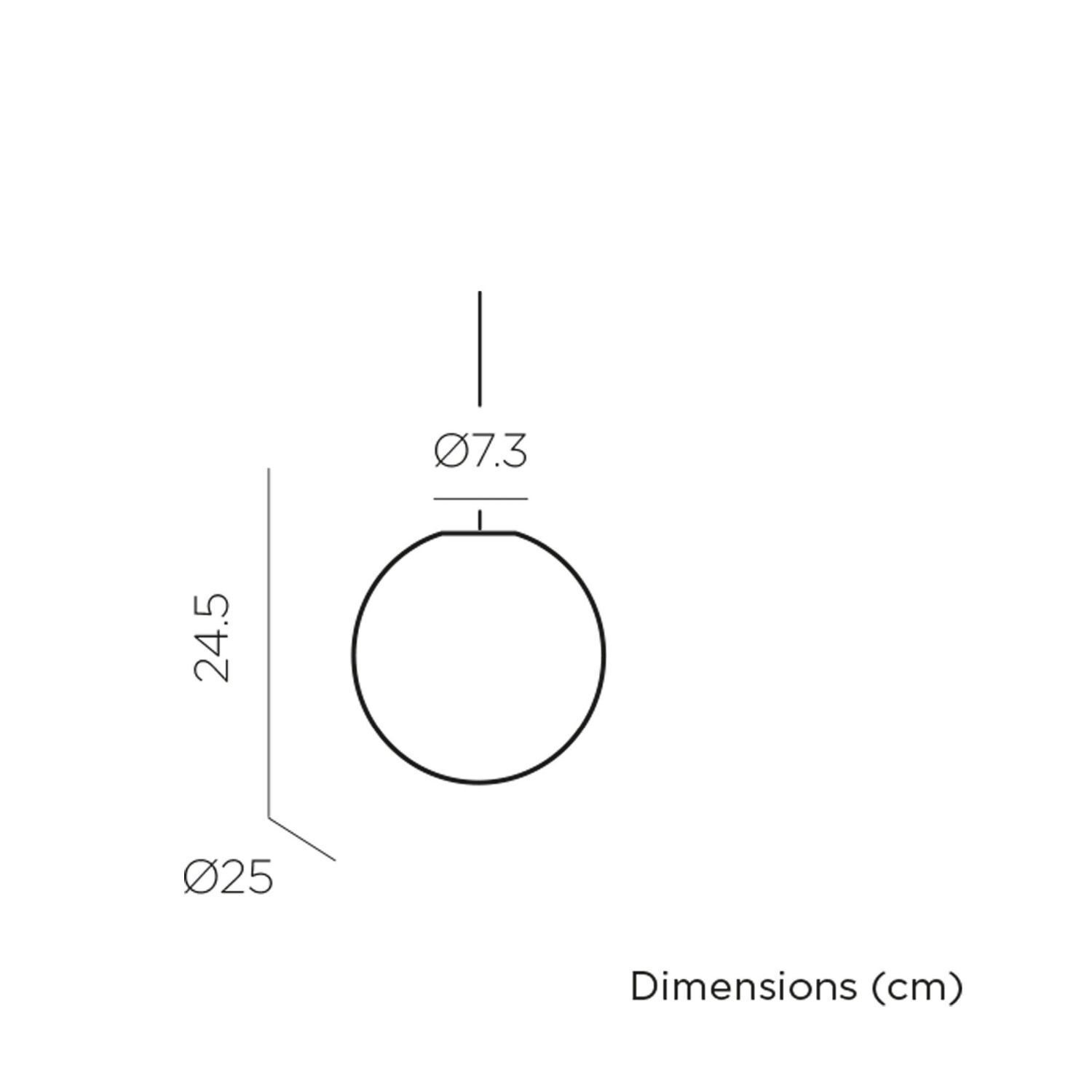 Lampe LED à suspendre à l'extérieur IP44 Ø 25 cm Blanc Boule 3000-6500 K