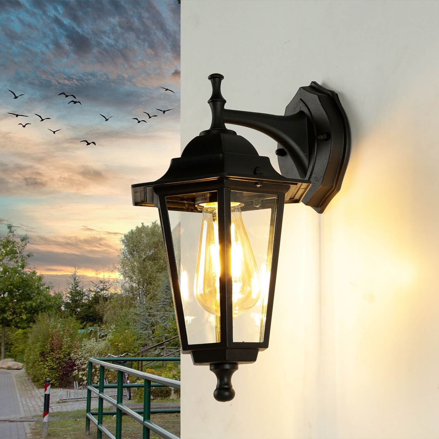 Lampe, Tier, Vogel
