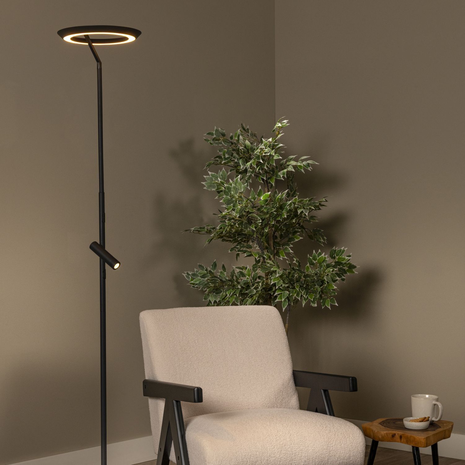 wohnzimmer, lampe, pflanze, stuhl, tee-tisch