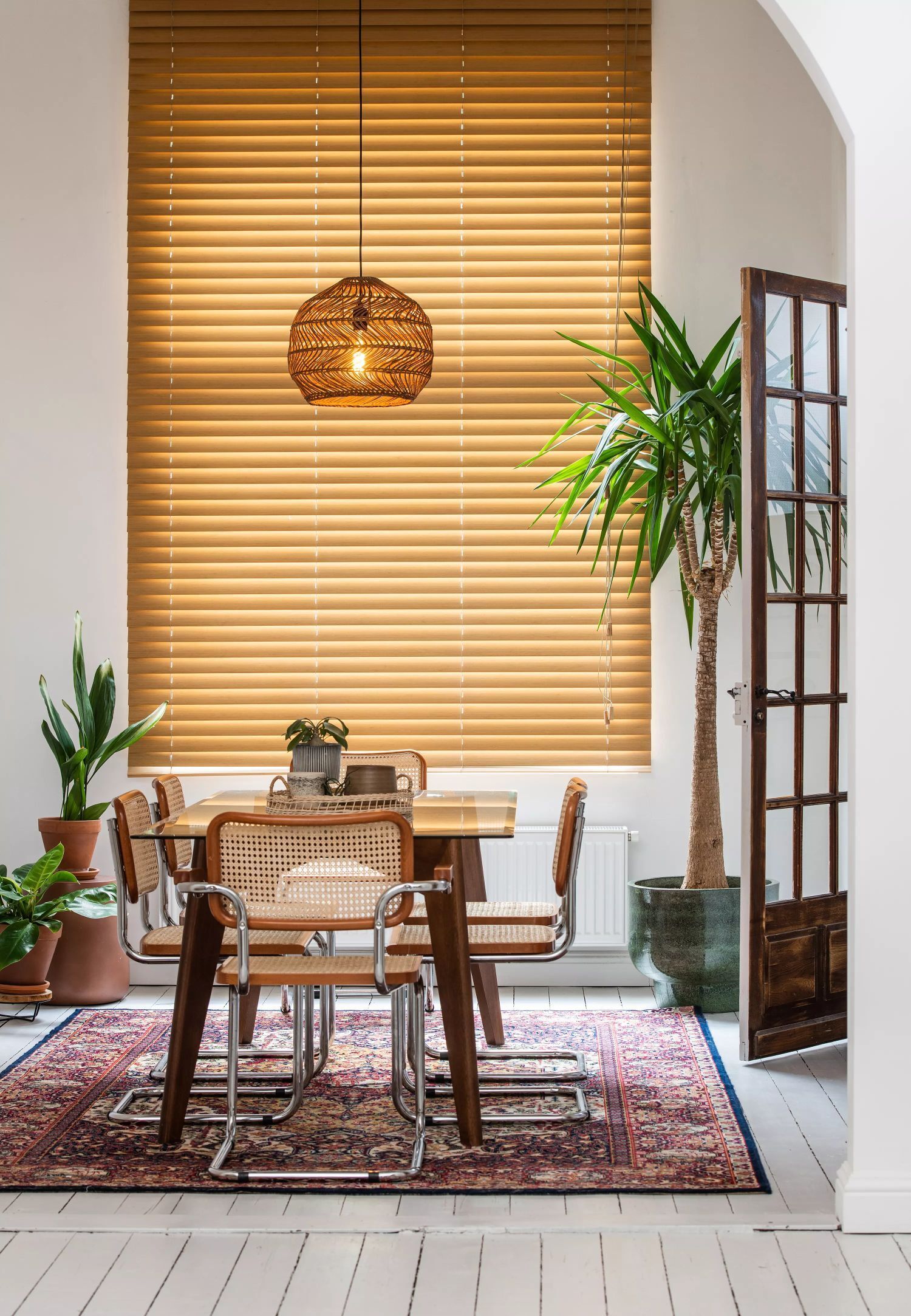 Innenarchitektur, Inneneinrichtung, Pflanze, Schatten am Fenster, Stuhl