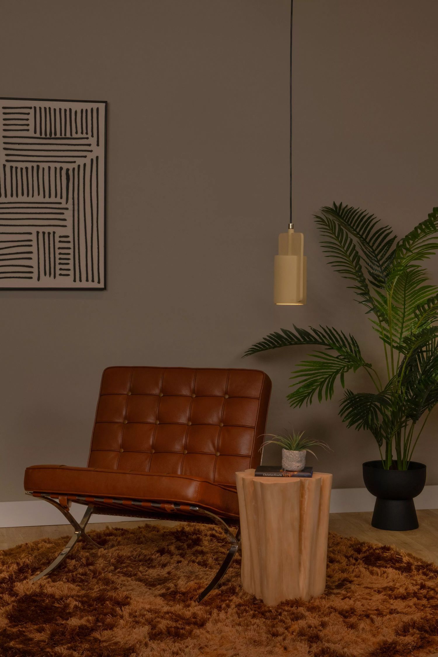 Moebel, Innenarchitektur, Pflanze, Stuhl, Baum