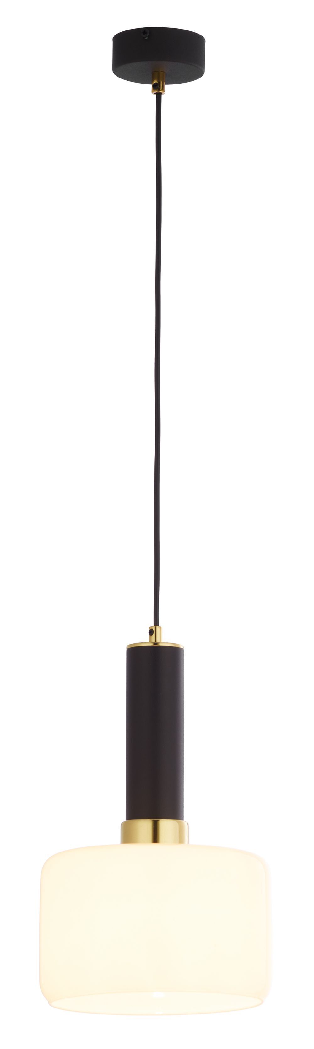 Métal Lampe suspendue Noir rond Ø20cm E27 Moderne