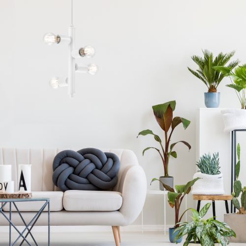 Pflanze, Pflanze im Topf, Innenarchitektur, Wohnzimmer, Lampe