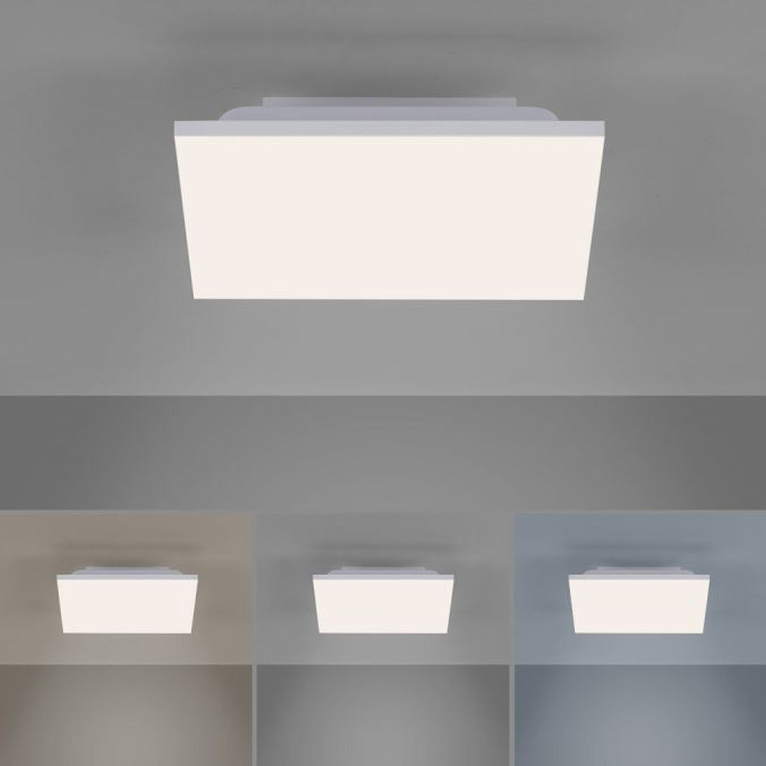 Deckenleuchte, Leuchte