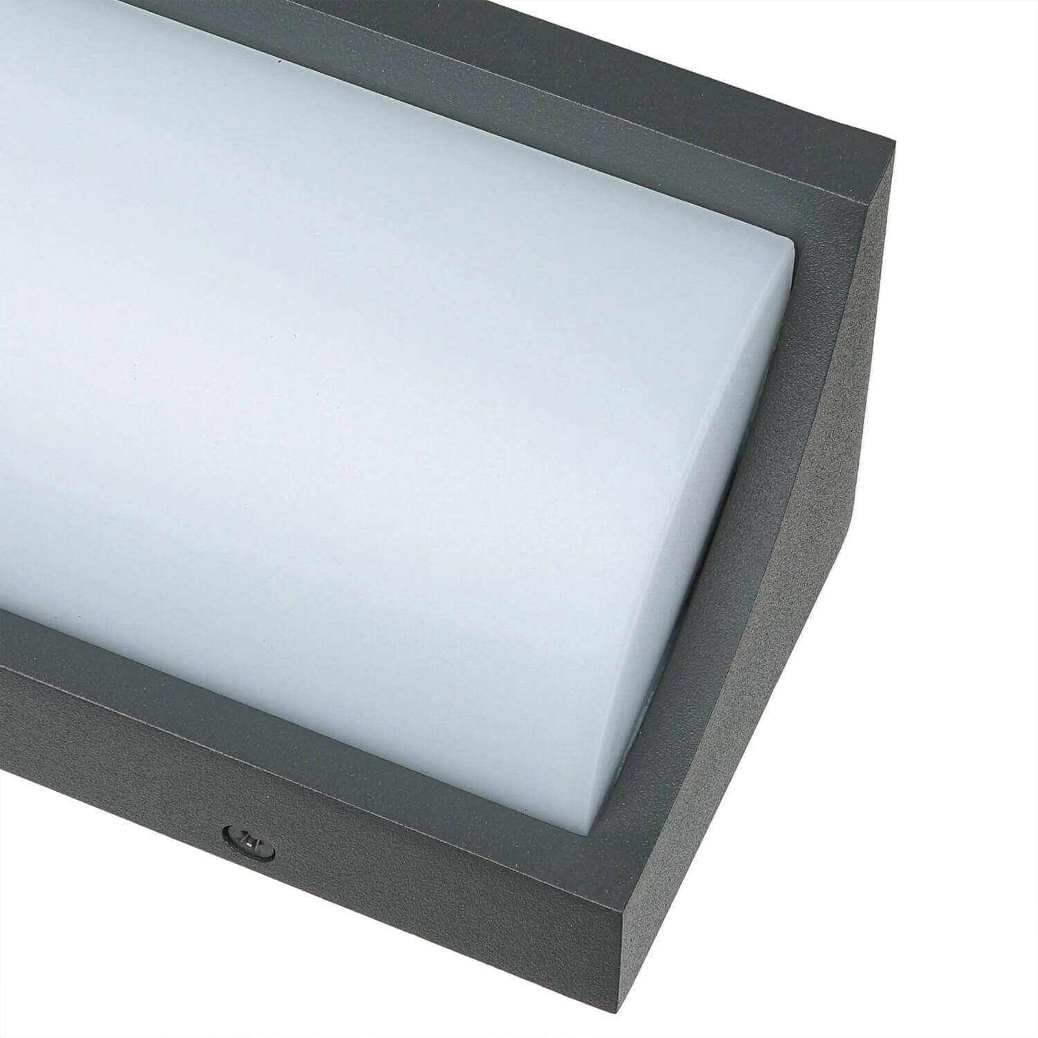 Applique murale LED TENBOS Anthracite IP65 Moderne Extérieur