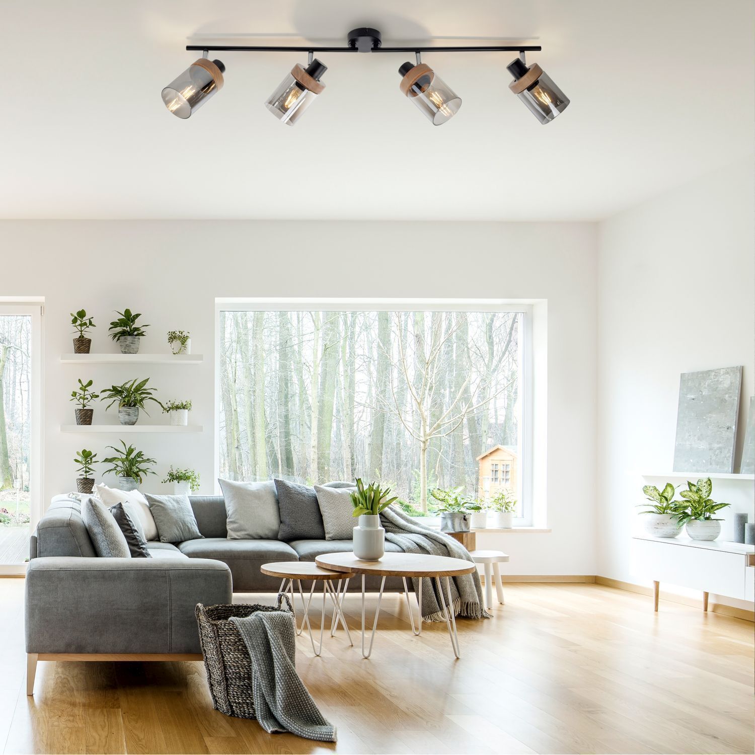 Dekoration für Zuhause, Pflanze, Drinnen, Innenarchitektur, Wohnzimmer