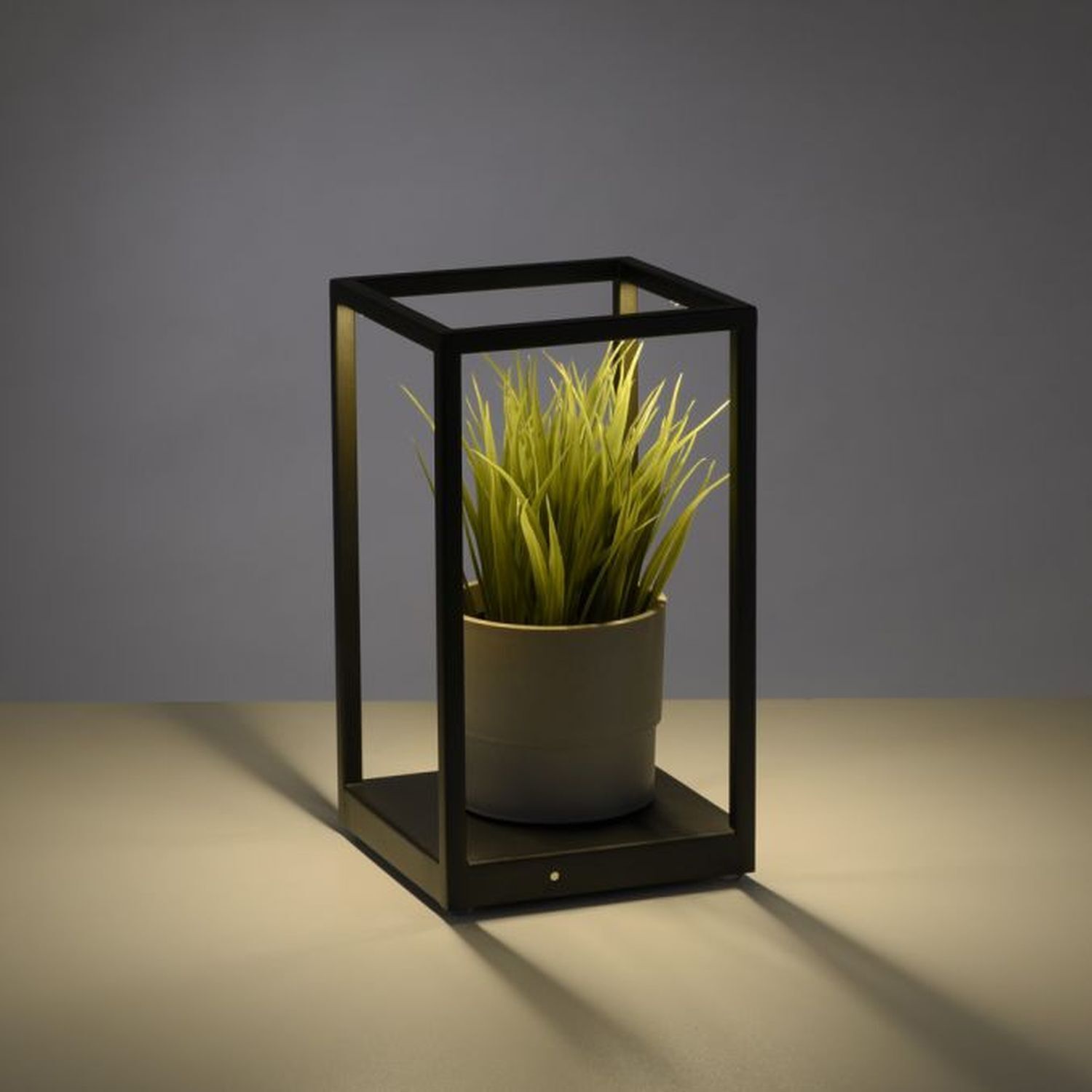 Topfpflanze, Krug, Pflanzgefäß, Töpferei, Vase Topfpflanze, Krug, Pflanzgefäß, Töpferei, Vase