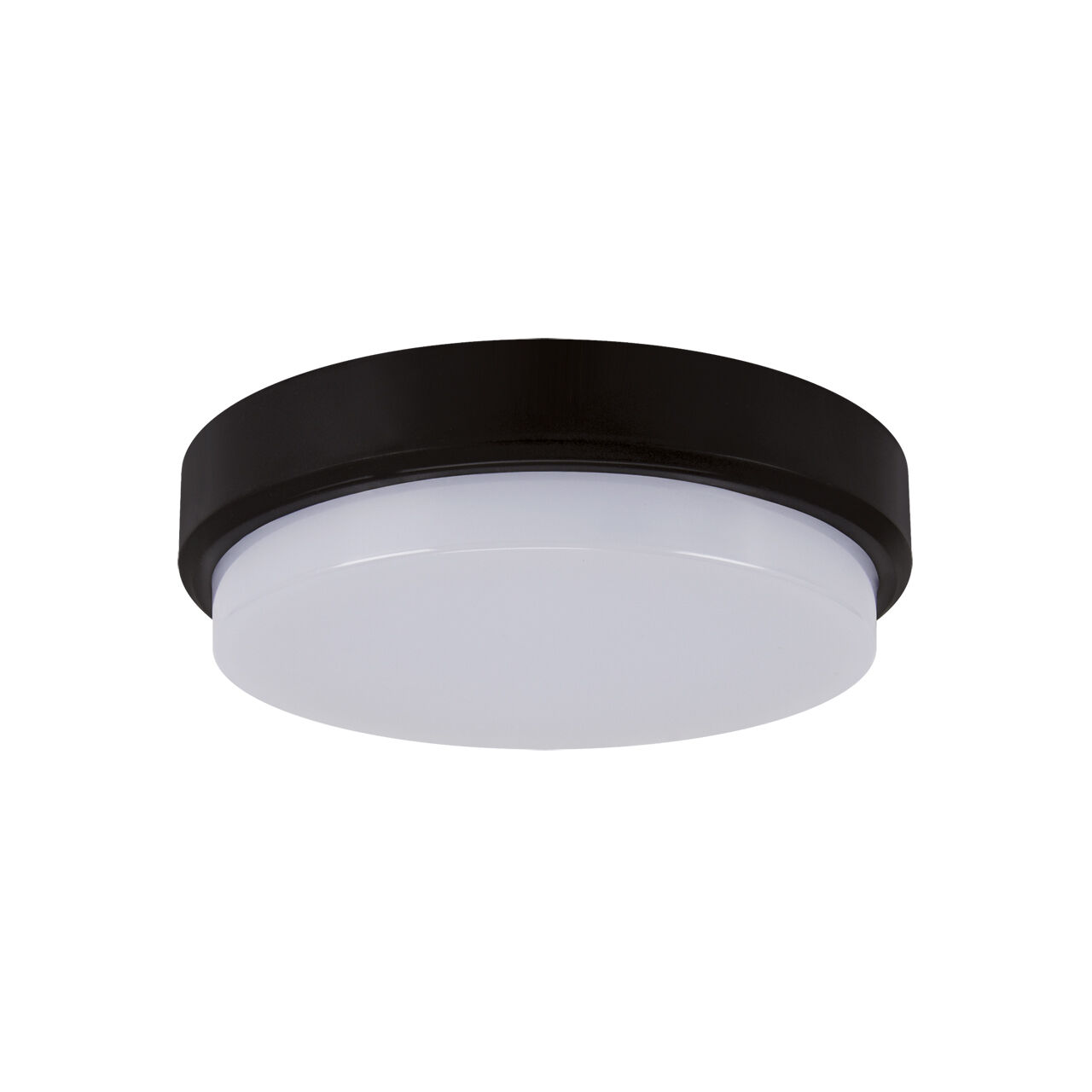 Lampe de plafonnier LED extérieur IP65 L : 17,5 cm noir blanc rond petit
