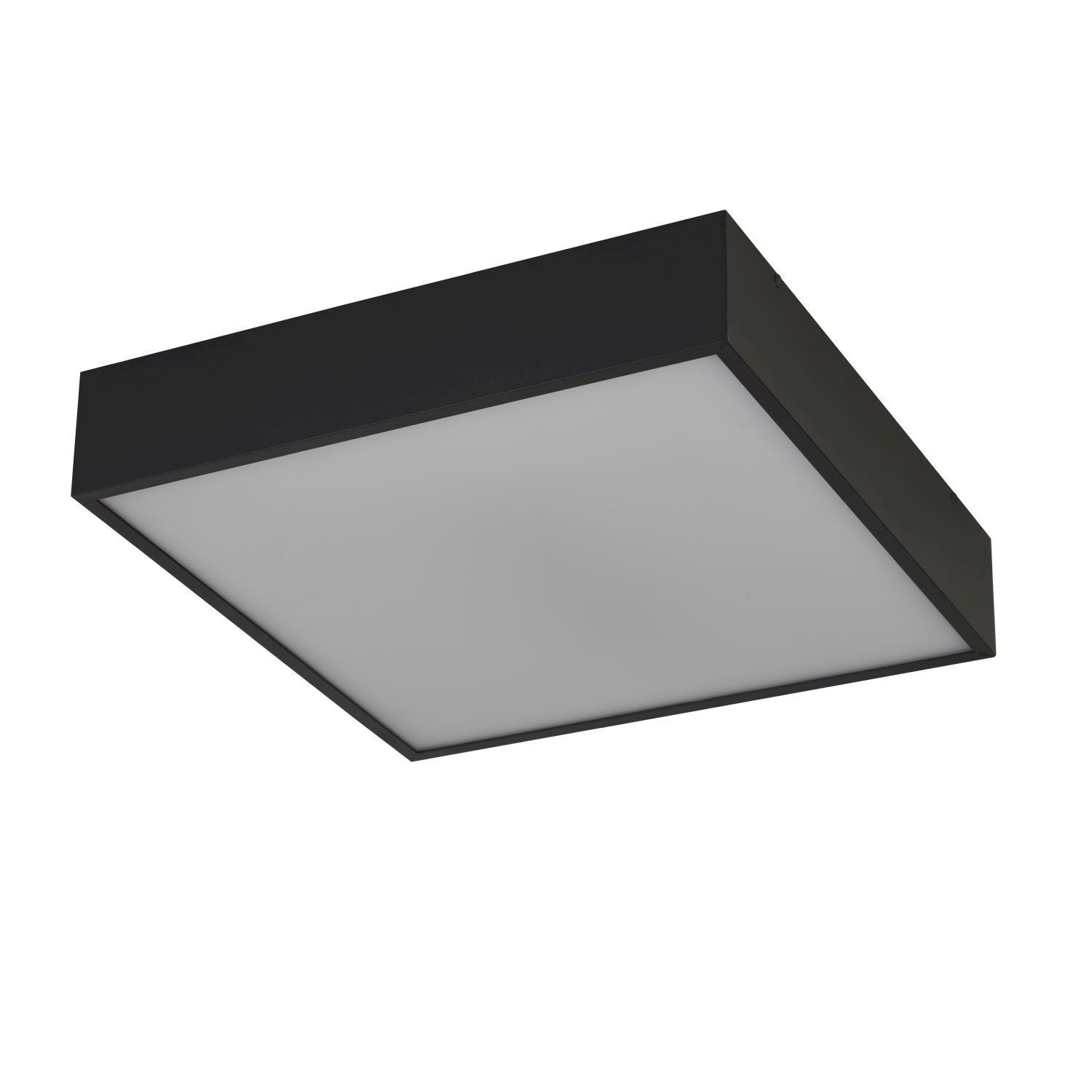 Plafonnier LED Aluminium IP44 L:30 cm Noir Blanc
