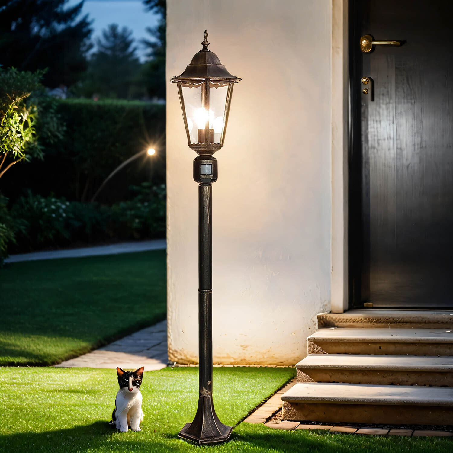 Lampe d'allée avec détecteur de mouvement en noir cuivre Lampe, Laternenpfahl, Gras, Pflanze, Katze