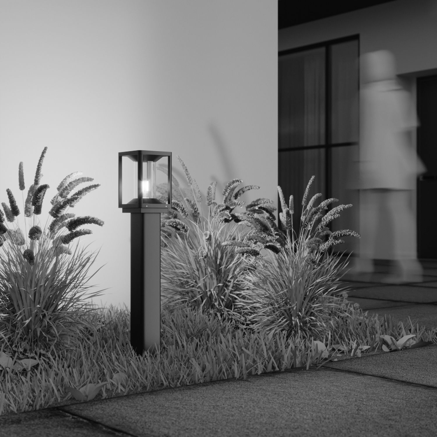 Lampe, Pflanze, Schilf