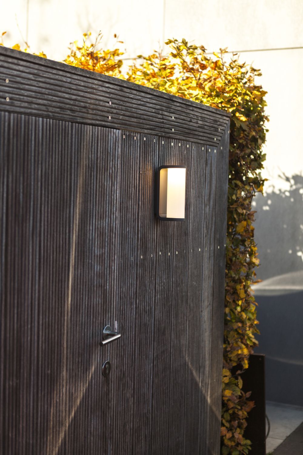 Drinnen, Innenarchitektur, Holz