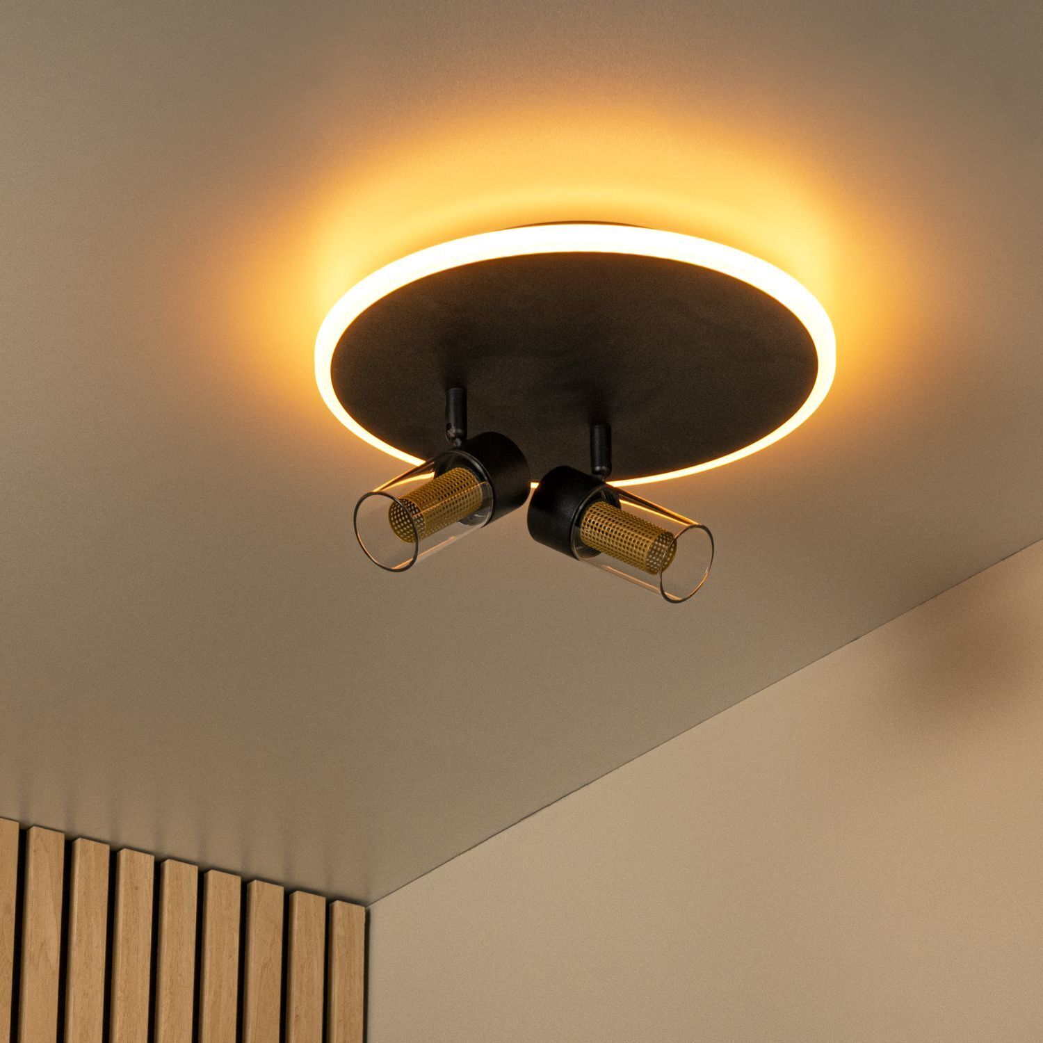 LED Deckenleuchte 2200 K B:30 cm Fernbedienung edel deckenleuchte, runde lampe, hängelampe, LED, metall