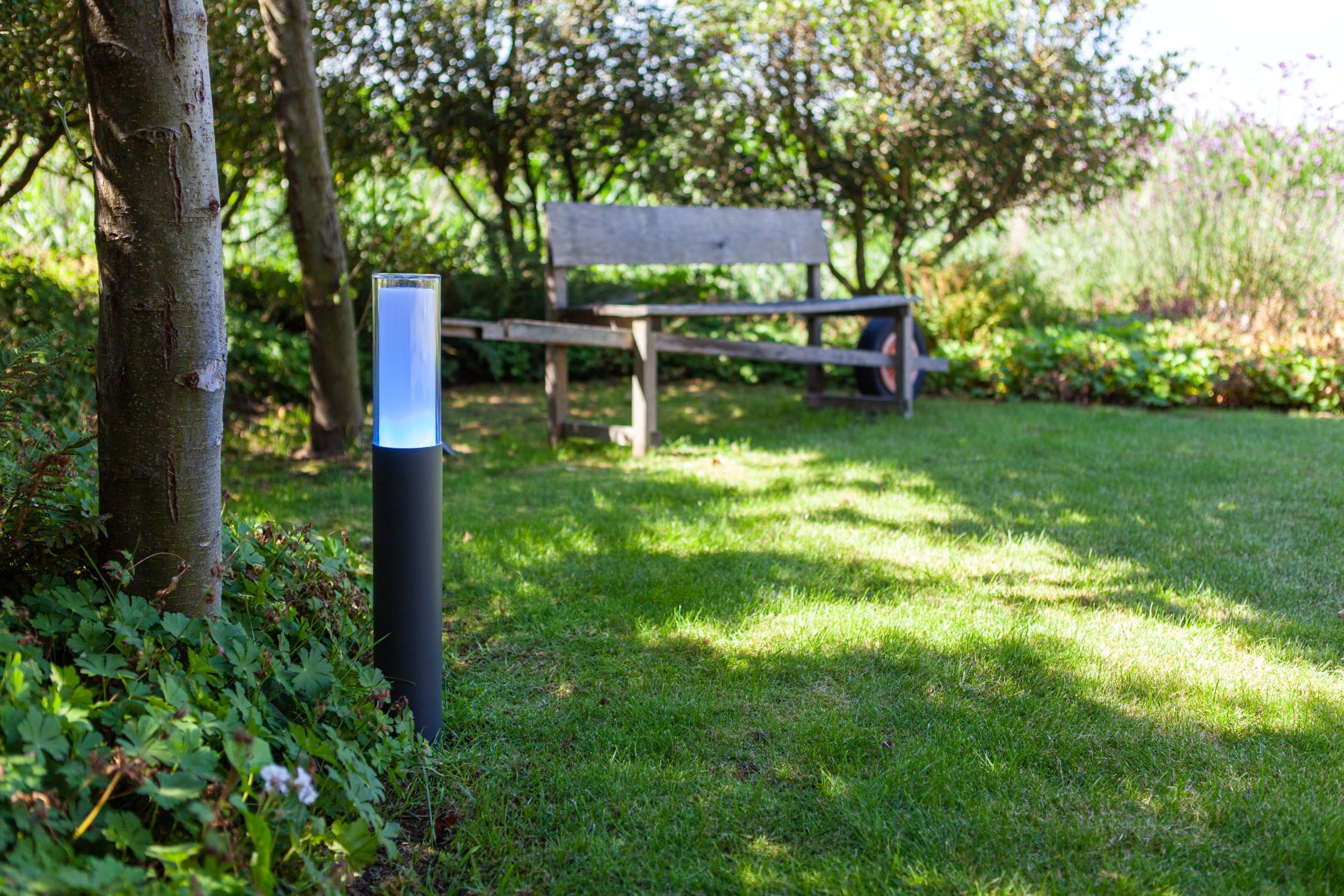 Bank, Mobiliar, Gras, Garten, Baum
