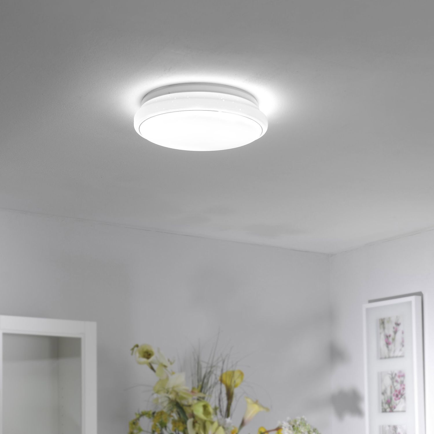 Lampe de plafonnier LED Ciel de nuit dimmable RGB 2700-5000 K