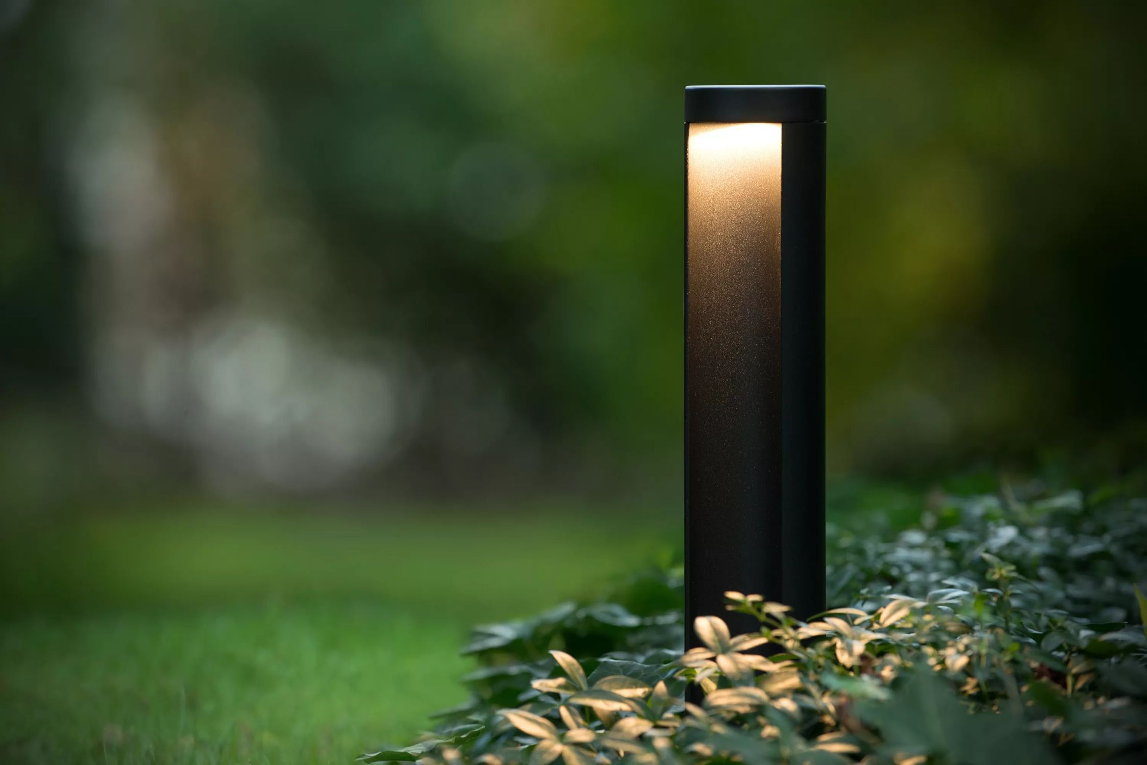 Lampe