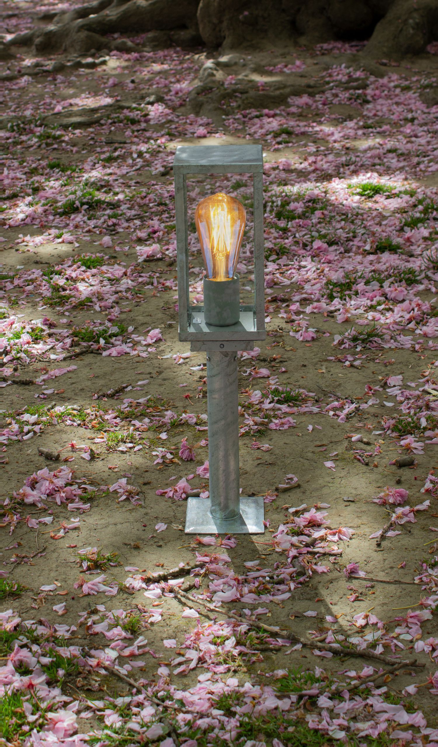 Lampe, Licht