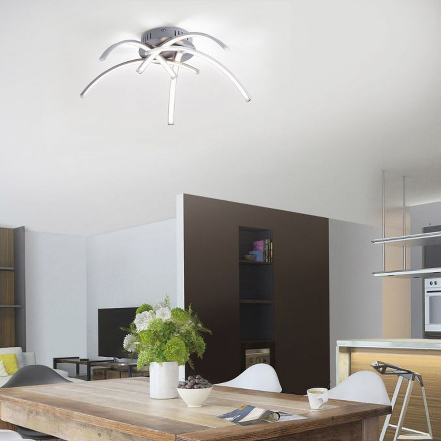 Drinnen, Innenarchitektur, Pflanze