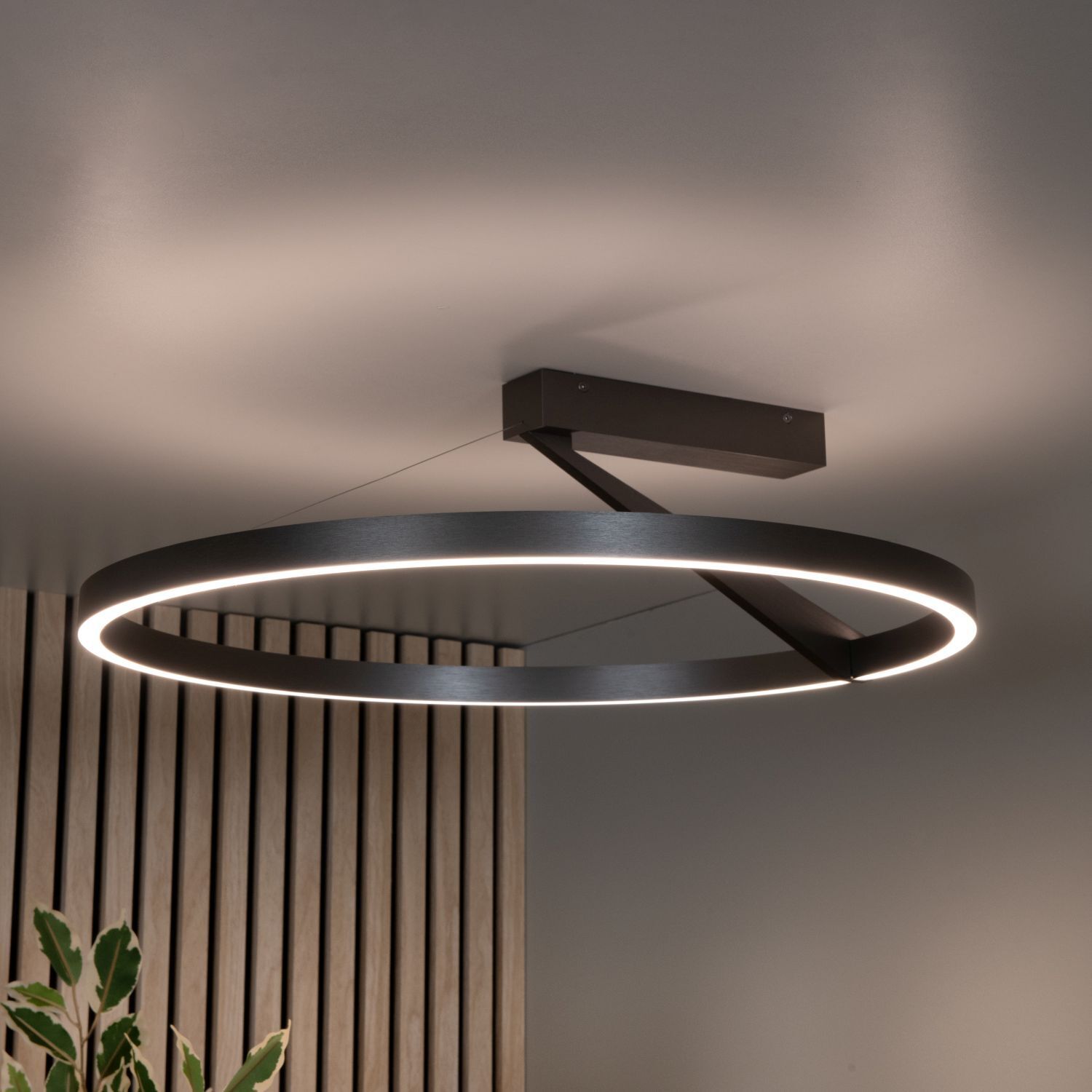 Deckenleuchte, Kreisform, LED-Licht, schwarzes Metall, Wohnraum