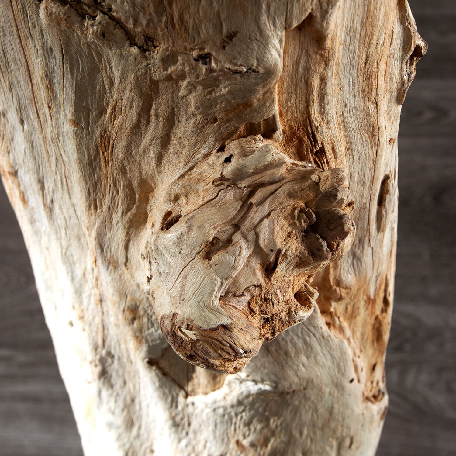 Lampadaire 175cm Moderne individuel bois flotté Holz, Pflanze, Baum, Baumstamm, Treibholz