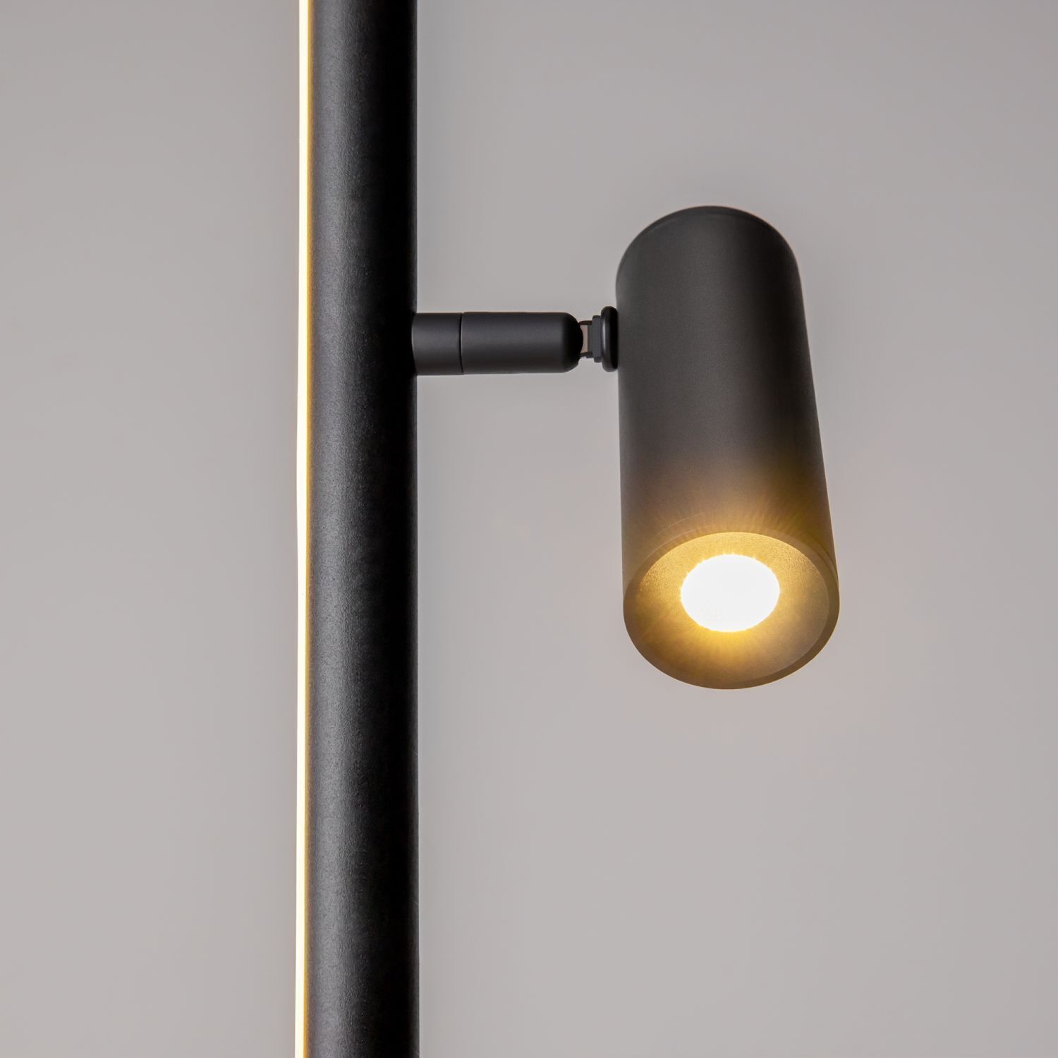 LED Stehlampe dimmbar Schwarz 155 cm 3000 K flexibel Stehlampe, Wandleuchte, Spotlight, Schwarz, LED