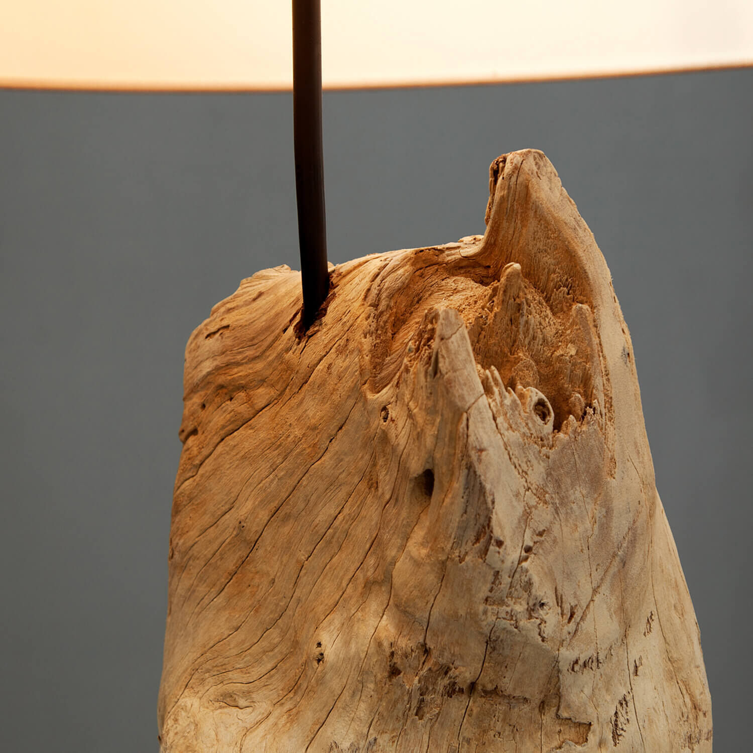 Holz, Pflanze, Baum, Lampe