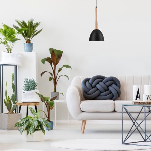 Pflanze, Pflanze im Topf, Innenarchitektur, Pflanzgefäß, Wohnzimmer