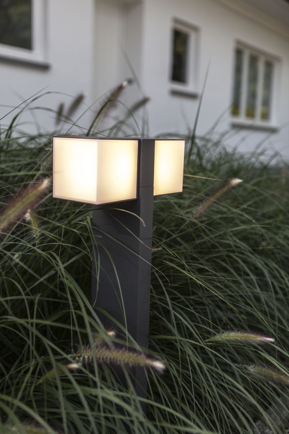 Lampe