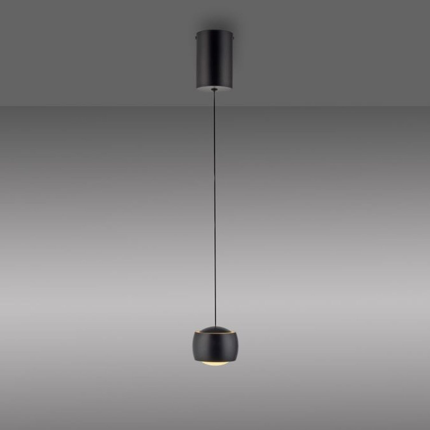 Suspension LED métal blanc chaud 3000 K 800 lm noir Lampe