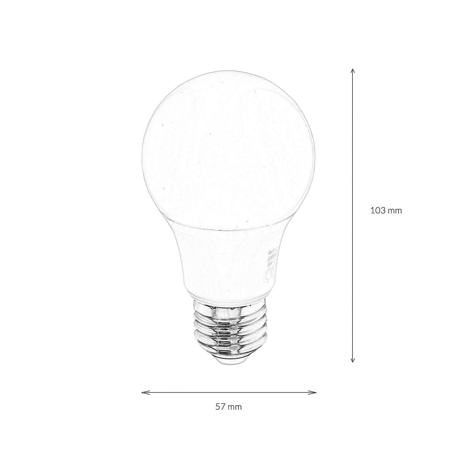 Ampoule LED E27 10,5 Watt 2700 K 1055 lm clair - LM10055