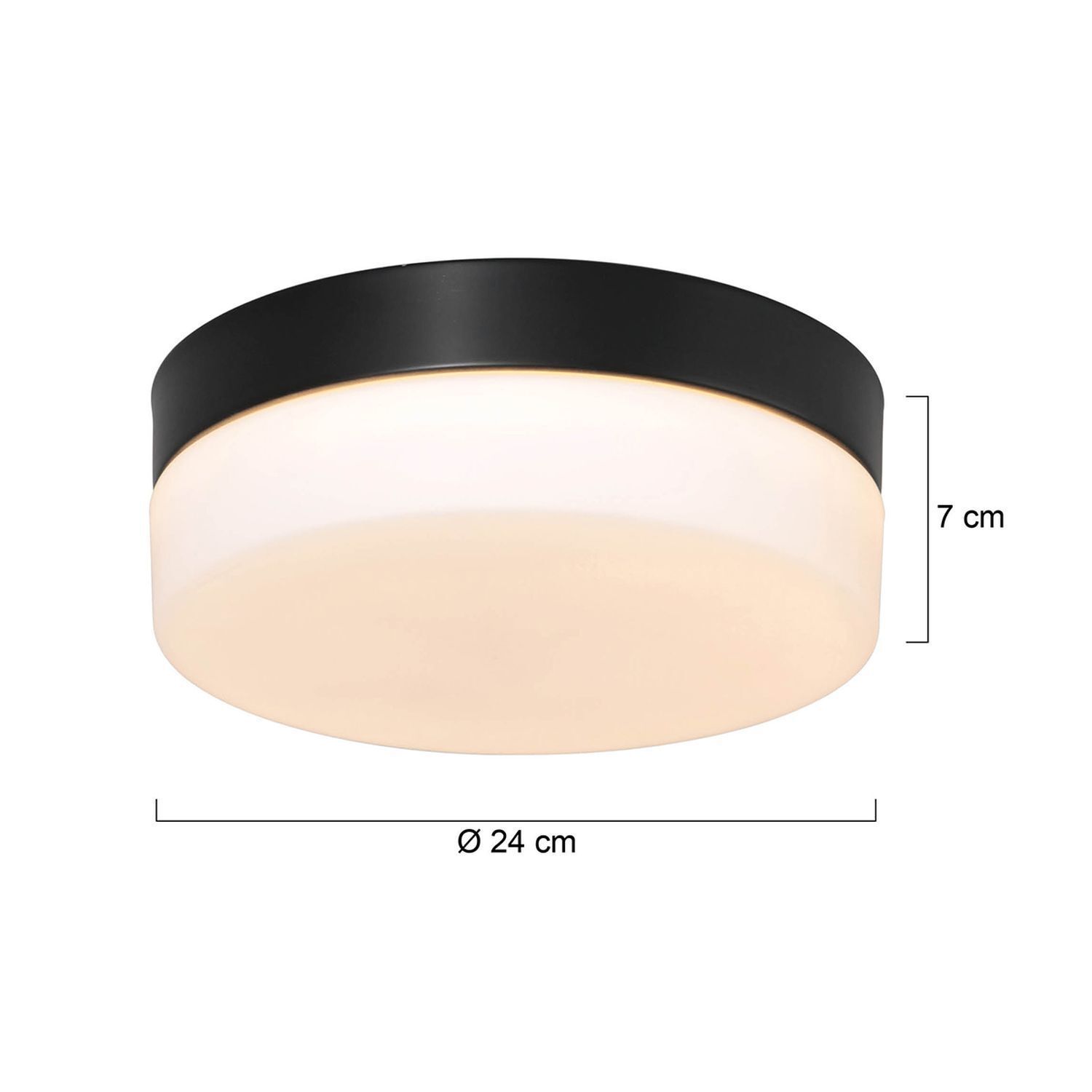 Plafonnier LED rond verre métal IP44 Ø24 cm 18 W