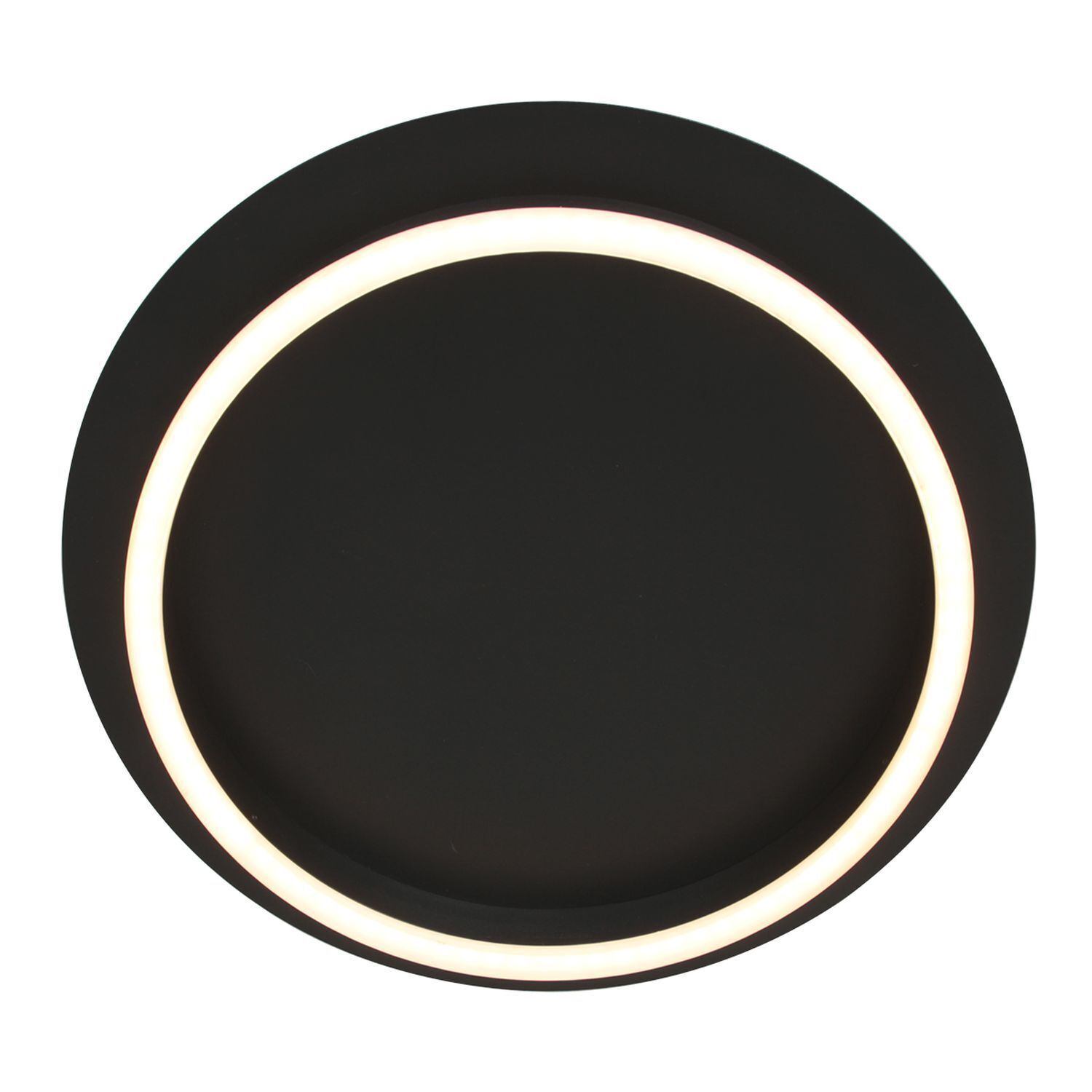 Plafonnier LED métal plastique noir 20 W 2700 K