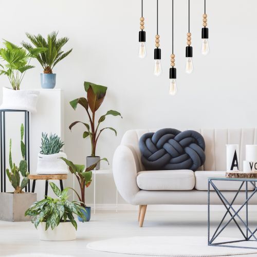 Pflanze, Pflanze im Topf, Wohnzimmer, Pflanzgefäß, Couch