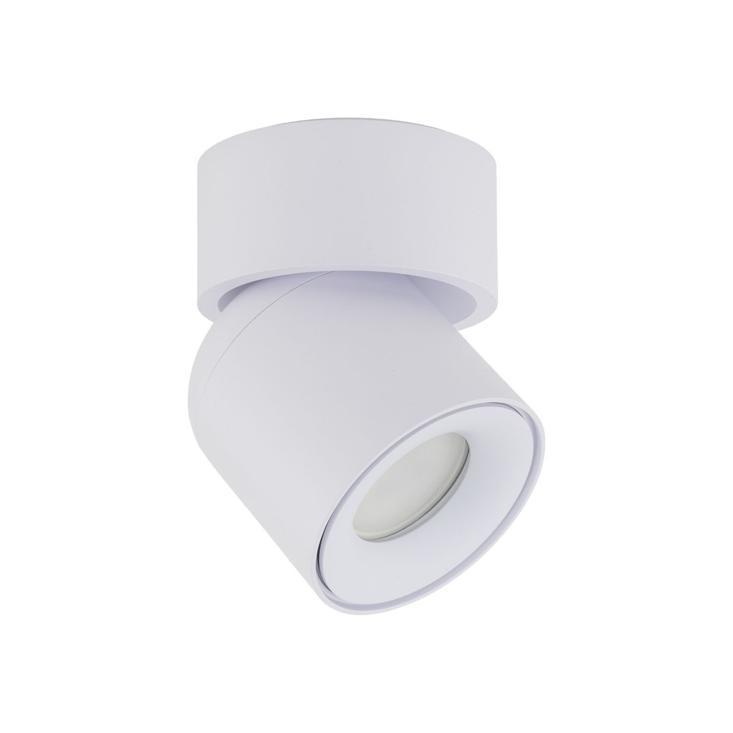 Spot de plafond réglable blanc métal GU10 IP65