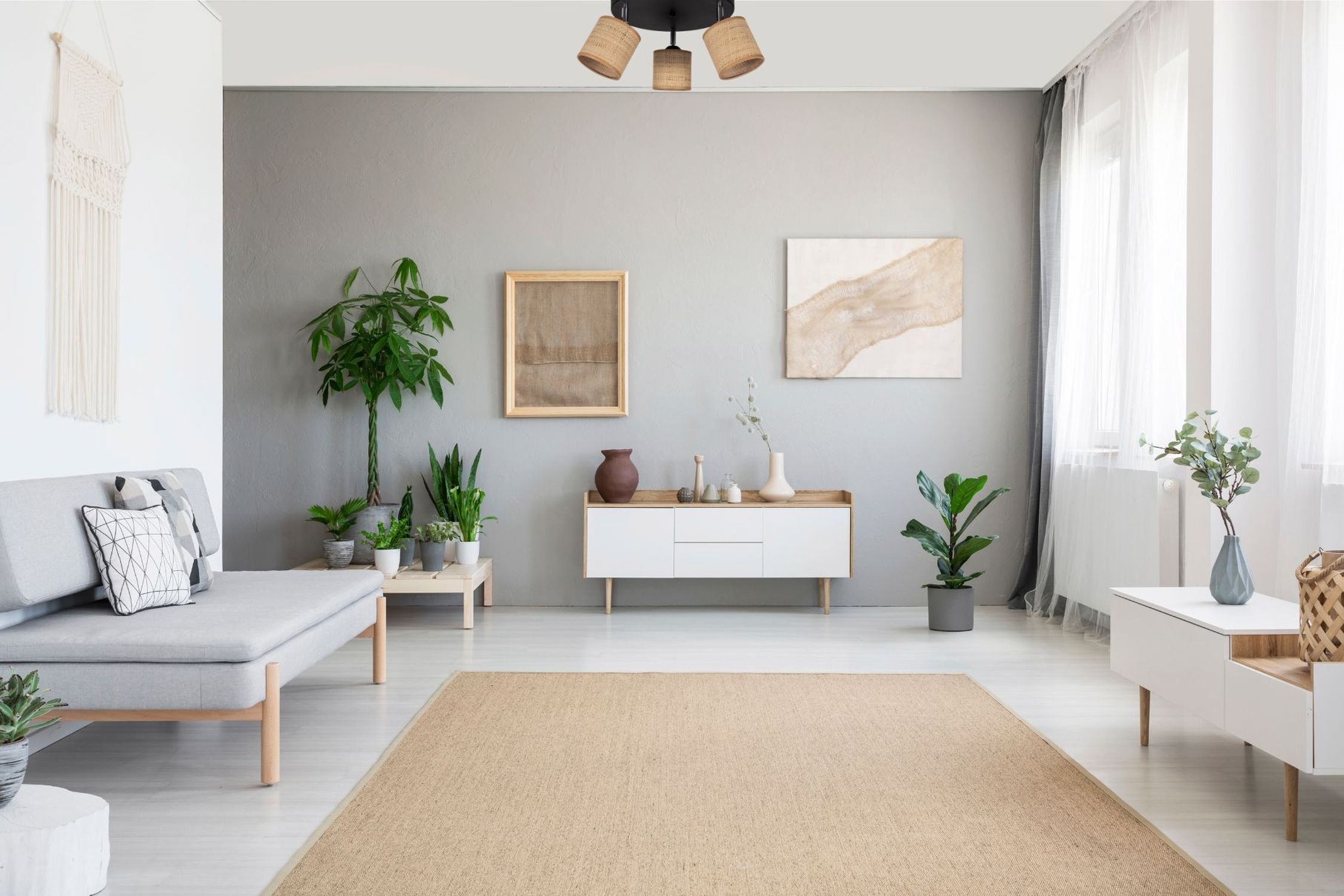 Dekoration für Zuhause, Pflanze, Teppich, Wohnzimmer, Innenarchitektur