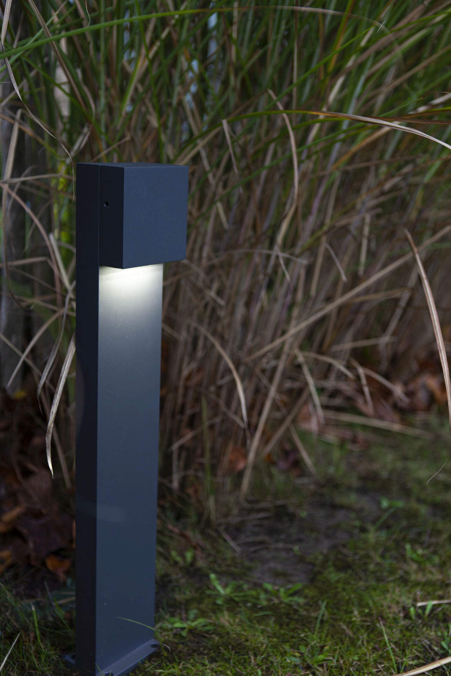 Lampadaire LED extérieur aluminium IP54 10 W 65 cm anthracite
