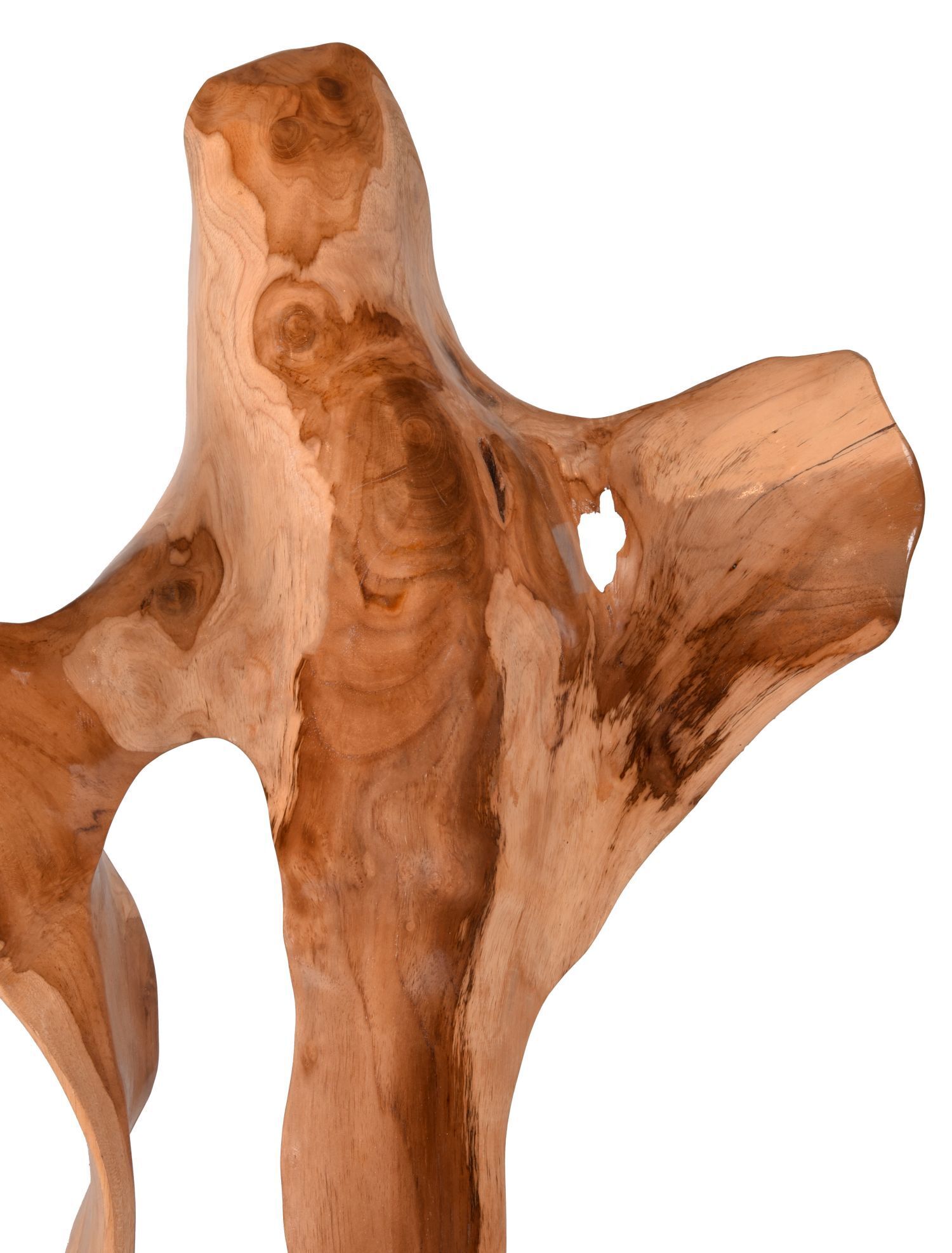 Holz, Treibholz, Pflanze, Baum, Person